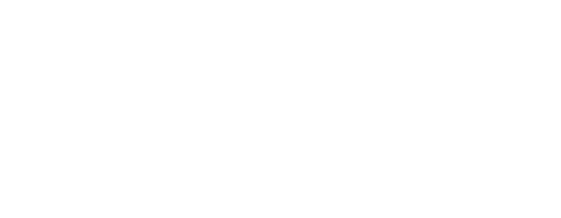 USPAE